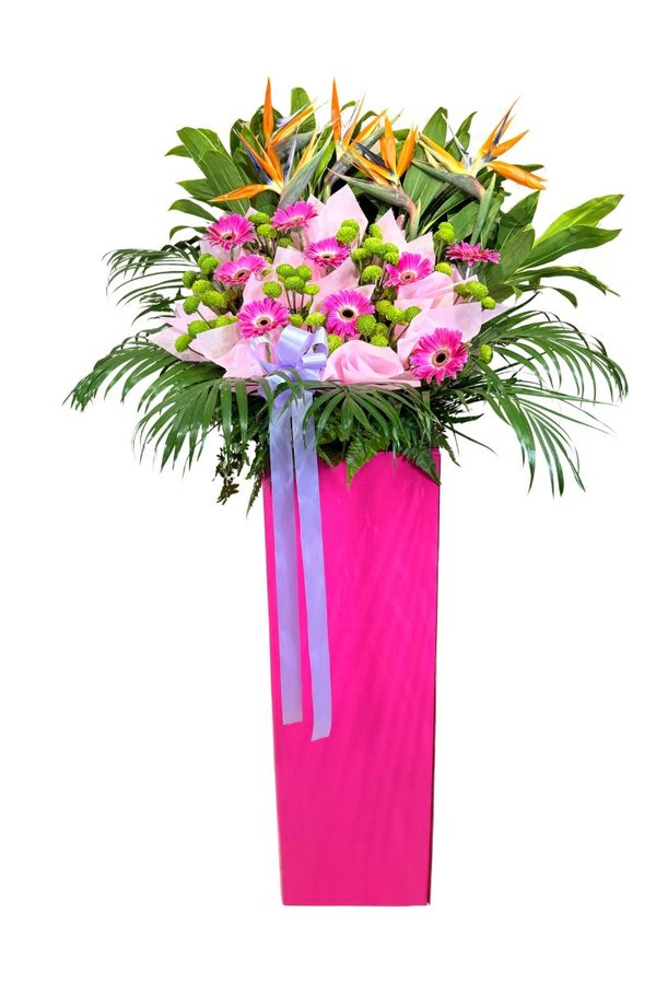 Image 58: Bold Blooms for New Ventures