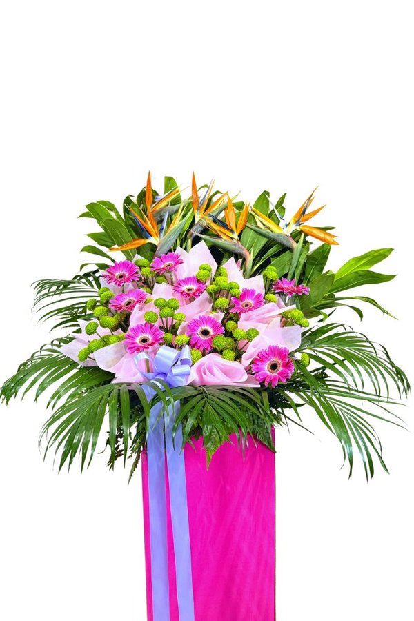Image 57: Bold Blooms for New Ventures