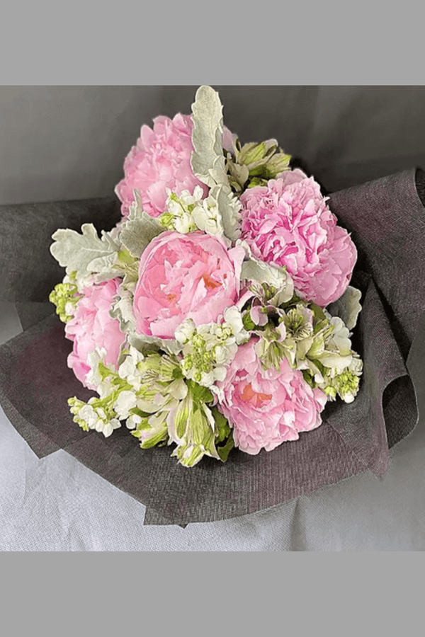 Pink Paeonia Pink Paeonia